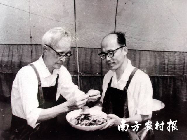 钟麟(左)在观察鱼苗 钟麟(左)在观察鱼苗