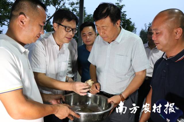农业农村部领导调研珠江所鼋人工繁育成果 农业农村部领导调研珠江所鼋人工繁育成果