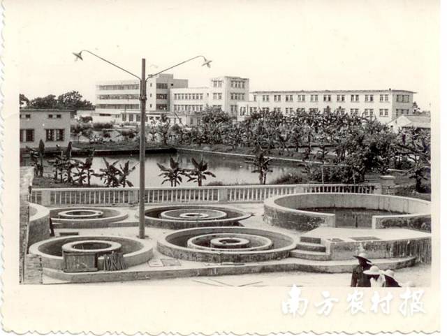 珠江水产研究所内家鱼人工繁殖池 珠江水产研究所内家鱼人工繁殖池